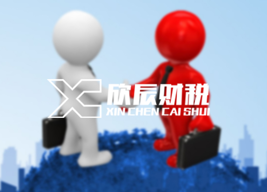 惠州市欣辰財務(wù)服務(wù)有限公司
